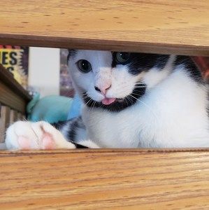 Meet your Posher, Olga